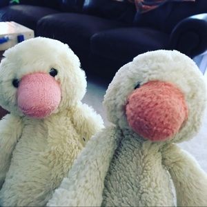 Meet your Posher, Tracy